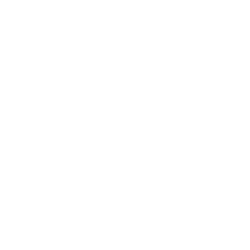 Polo Democrático Alternativo